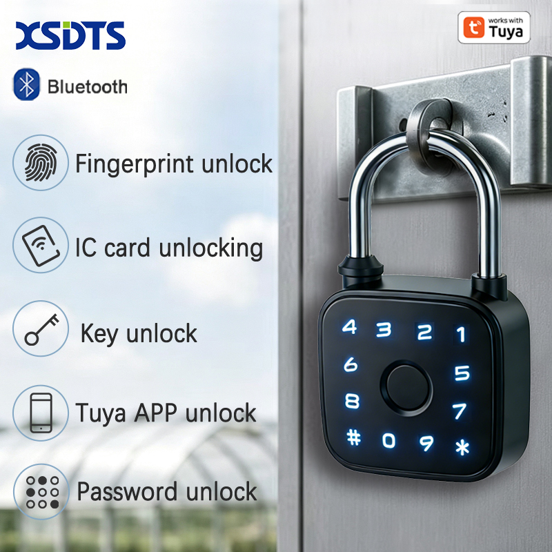 Cabinet Lock Key - Tuya Smart Padlock, Fingerprint Card Password